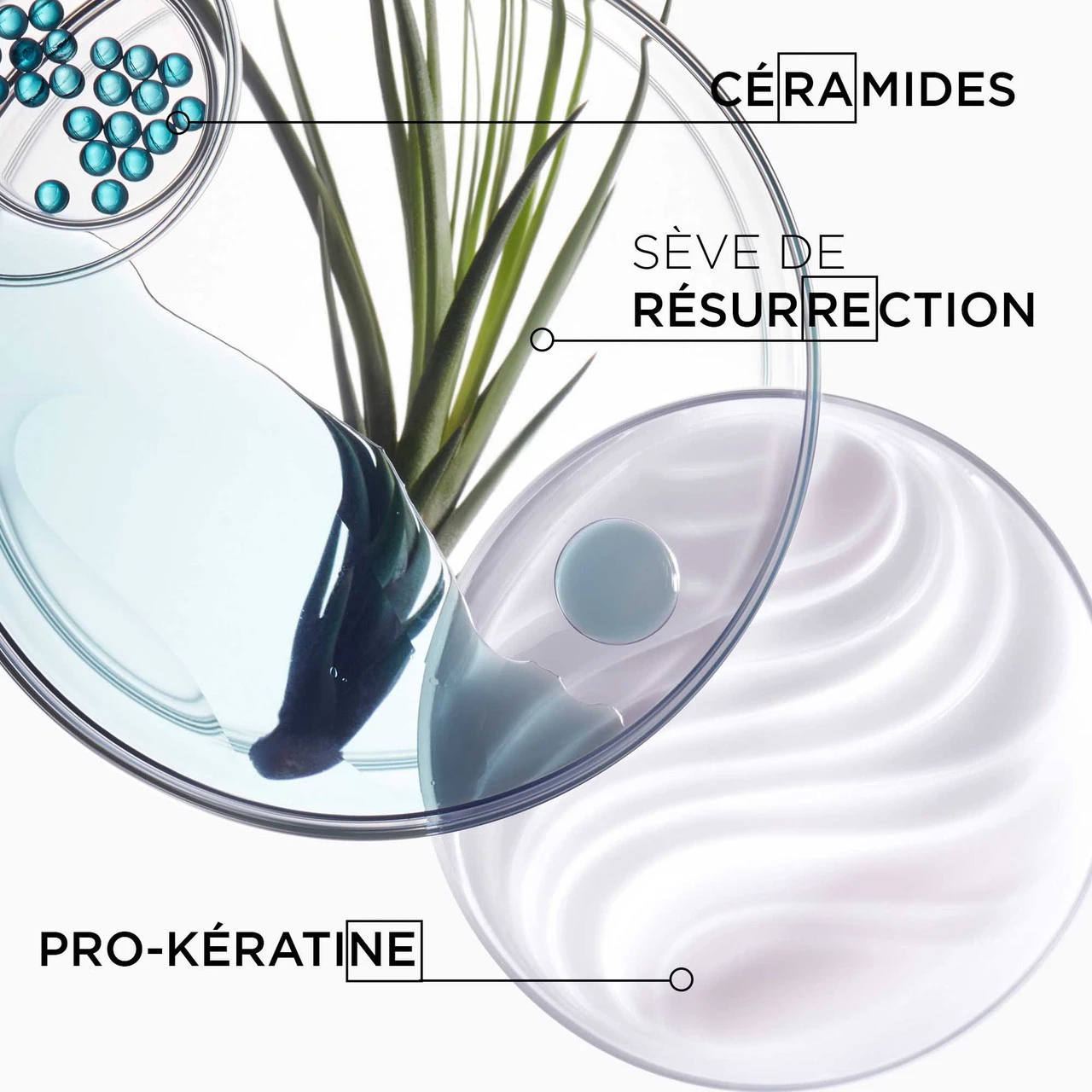 Bain Force Architecte Kérastase 250ml – Image 2