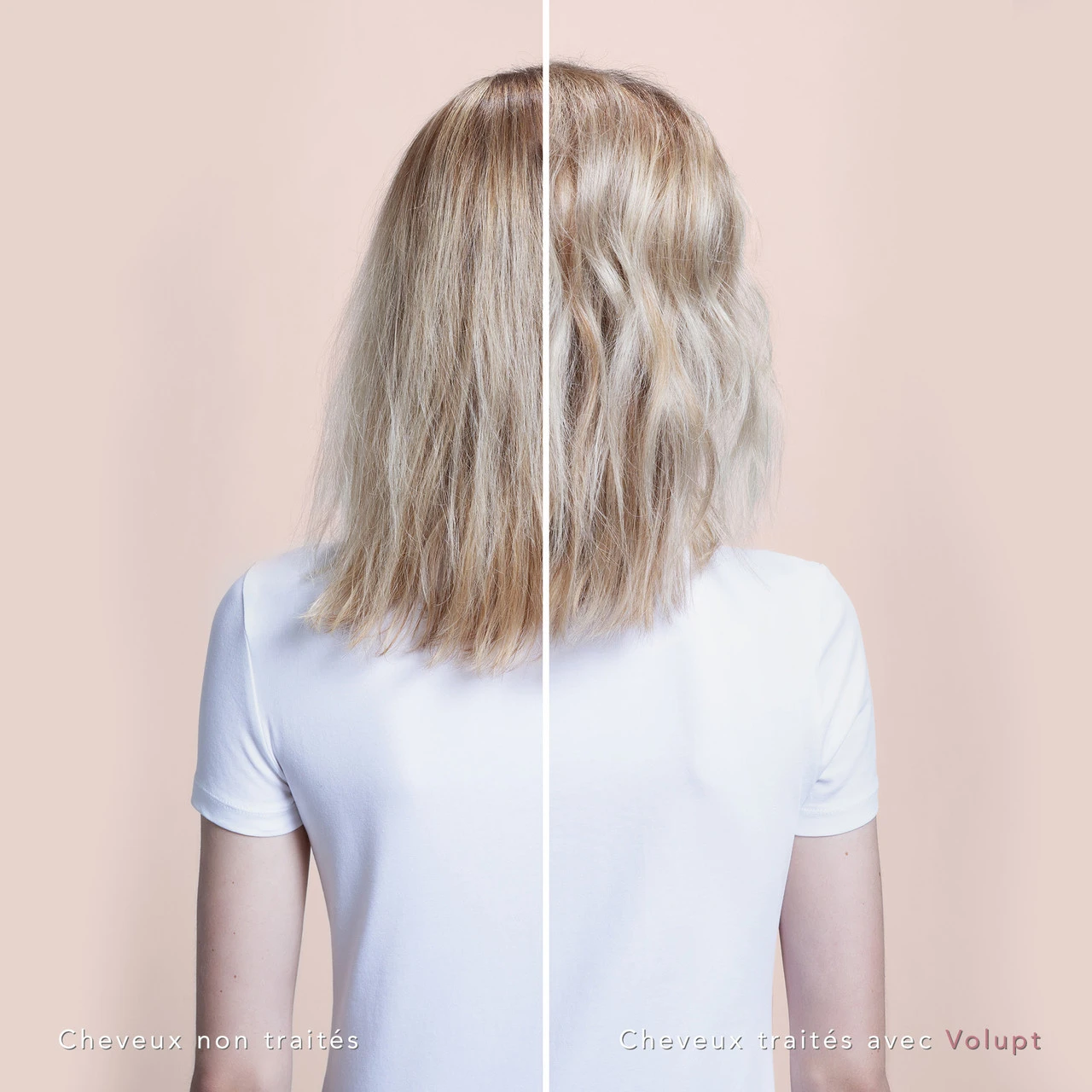 Volupt Shampoo Sebastian 250ml â Image 3