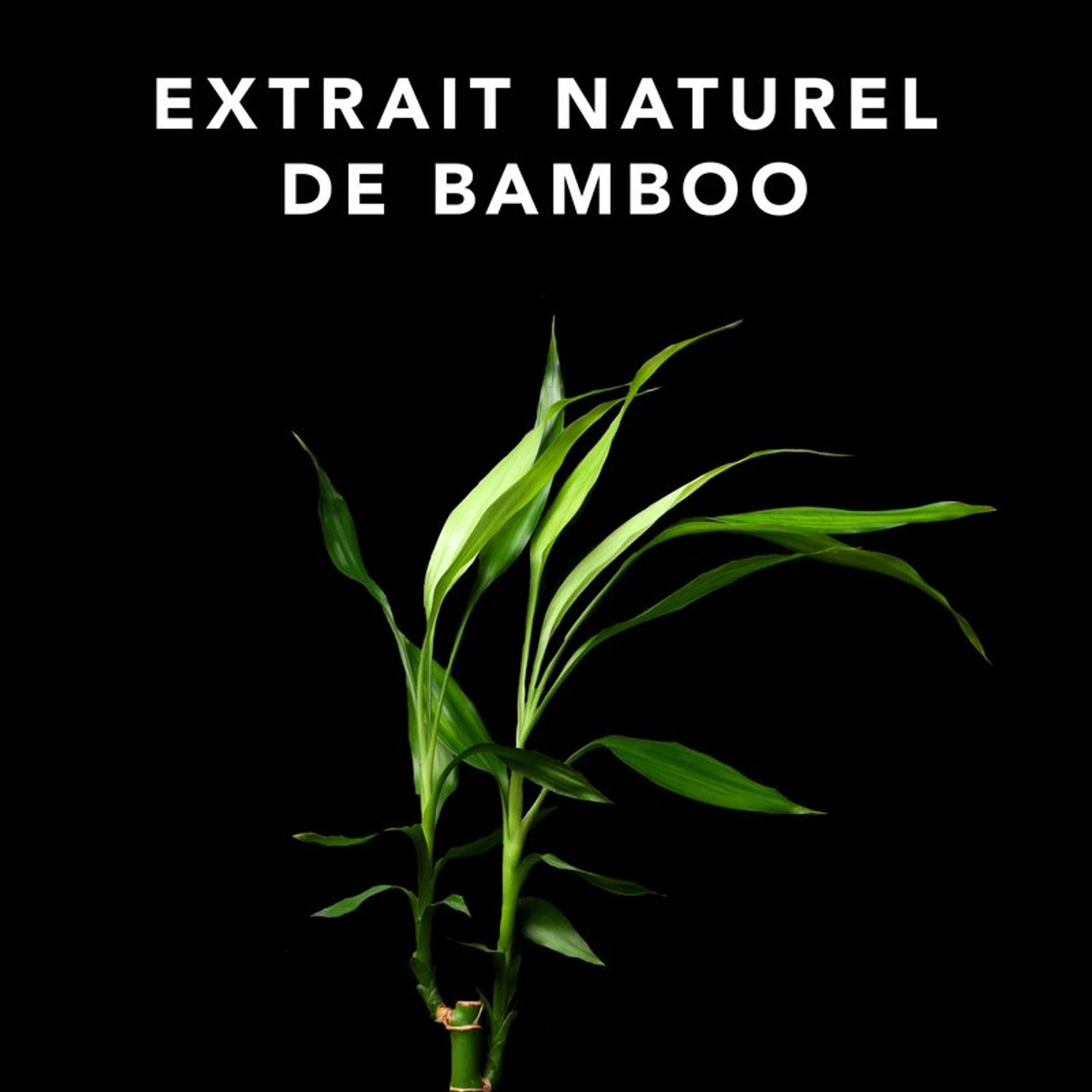 Volupt Shampoo Sebastian 250ml â Image 2