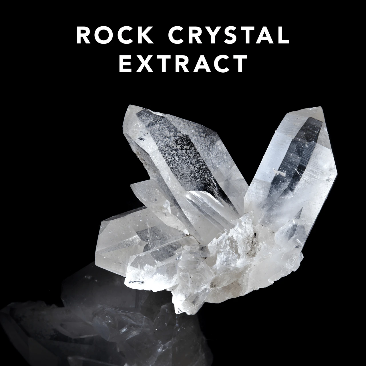 Shine Define Sebastian 200ml â Image 4