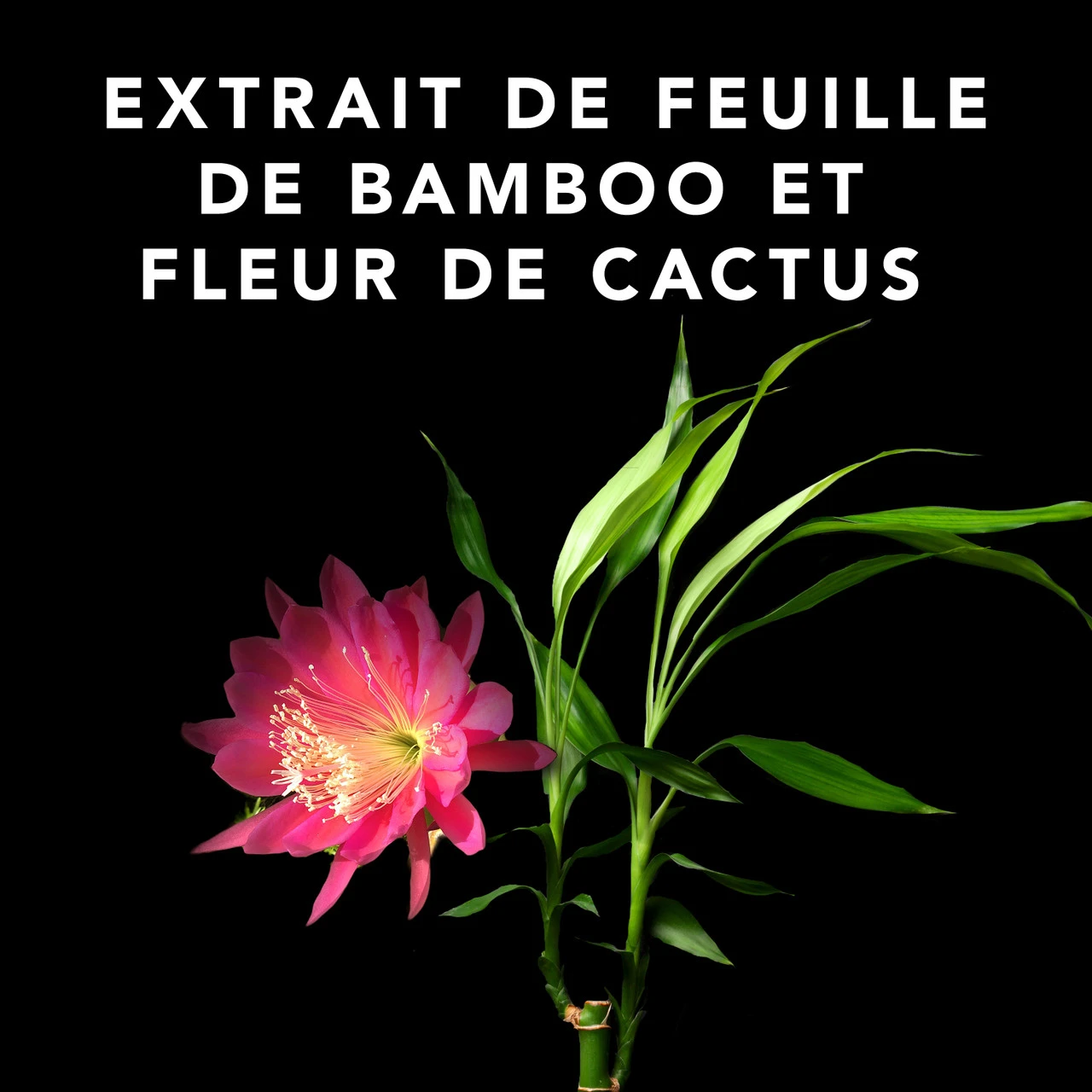 Volupt Spray Sebastian 150ml â Image 3