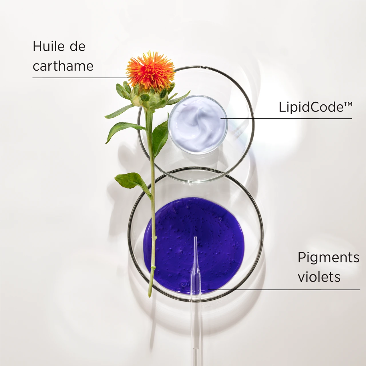 Masque LuxeBlond System Professional 400ml – Image 3