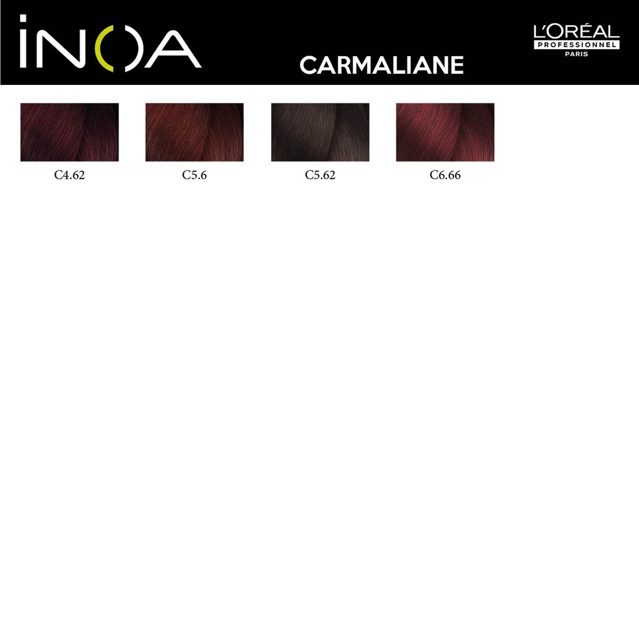 Coloration Inoa Carmilane L'Oréal Professionnel – Image 2