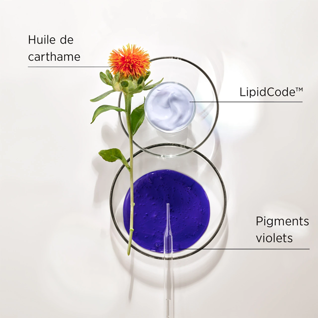 Shampooing LuxeBlond System Professional 250ml – Image 2